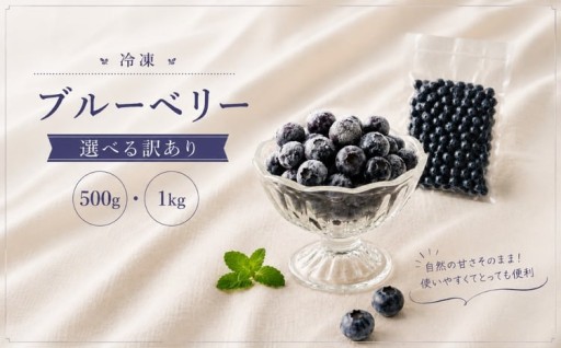 冷凍ブルーベリー 選べる 訳あり ・ 500g ・ 1kg 