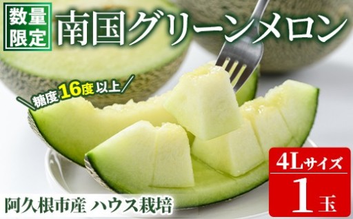 鹿児島県産南国グリーンメロン(4Lサイズ×1個)