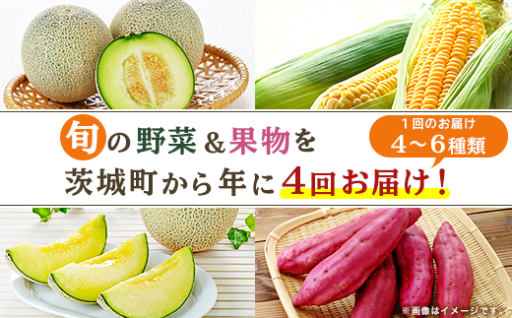 【四季の恵みをお届け！】野菜・フルーツ定期便♪   年に4回お届け