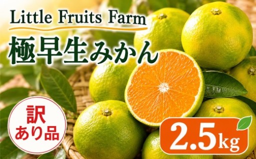 【訳あり品】極早生みかん 約2.5kg