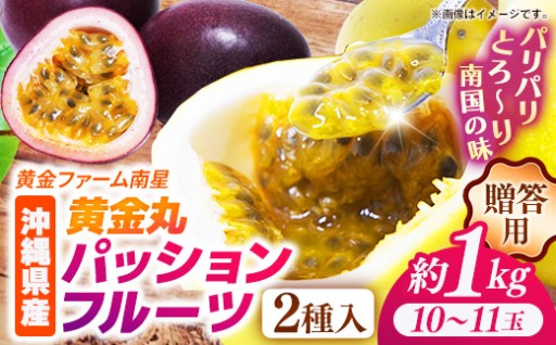 【先行受付】黄金丸パッションフルーツ ギフトセット 約1kg (10～11玉) 【2027年発送】