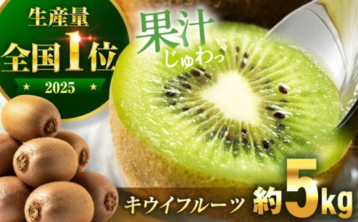 国産 キウイ フルーツ 約5kg