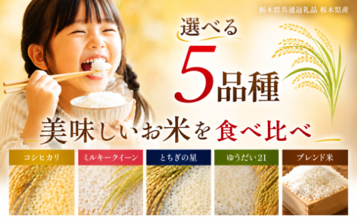 令和8年度産 栃木県産 5種類 お米