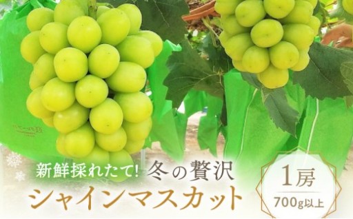 冬の贅沢 シャインマスカット 1房(700g以上)