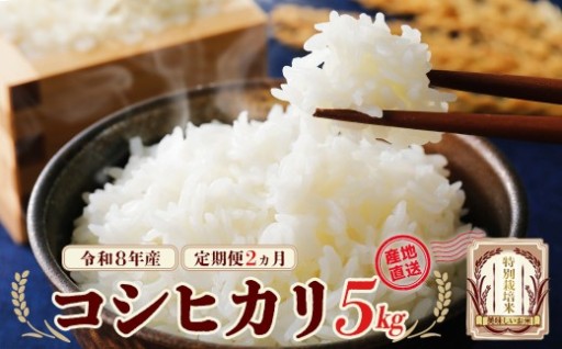 【2か月定期便】特別栽培米コシヒカリ 計10kg