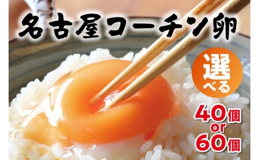 【選べる個数】✨日本を代表する地鶏✨名古屋コーチン卵🥚