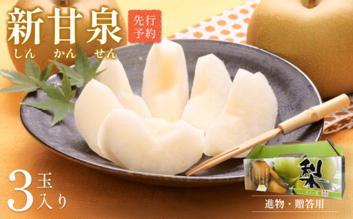 🍐鳥取県「新甘泉」3玉入り🍐