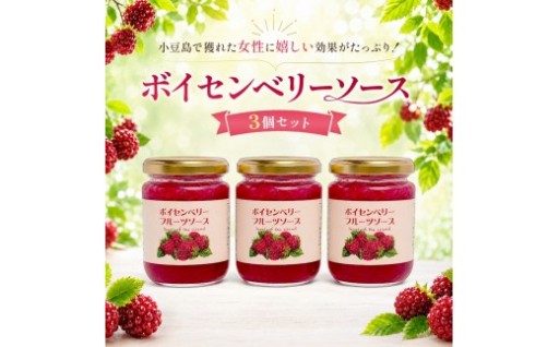 ボイセンベリーソース3個セット