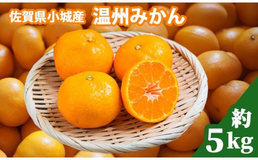 【先行予約】佐賀県小城市産 温州みかん 5kg