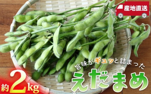 ご好評いただいた「枝付き枝豆」が、期間限定で再登場！
