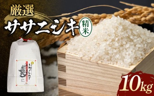 【令和8年産先行予約】厳選 ササニシキ 10kg