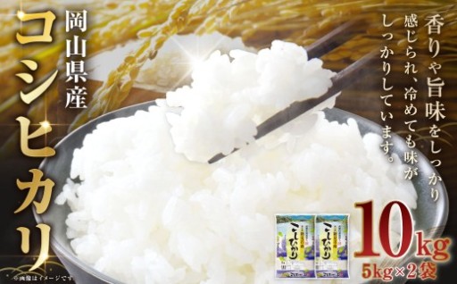 【 令和7年産 】 岡山県産 コシヒカリ 10kg （ 5kg × 2袋 ）