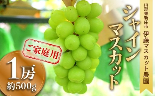 シャインマスカット 1房（約500g）