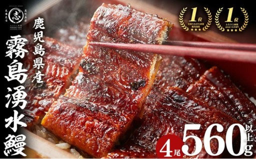 【志布志市人気No.1お礼の品】霧島湧水鰻の蒲焼き 140g以上×4尾＜計560g以上＞