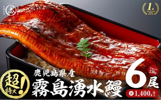 【数量限定】超特大！鹿児島県産 山田水産の霧島湧水鰻(計1400g以上・236g以上×6尾)