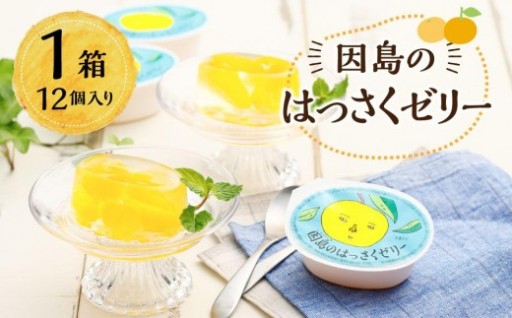 【寄付額改定】因島のはっさくゼリー（78g×12個）
