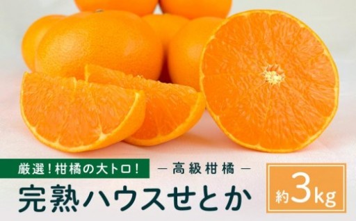 柑橘の大トロ！完熟ハウスせとか 3kg 2027年2月中旬～発送予定