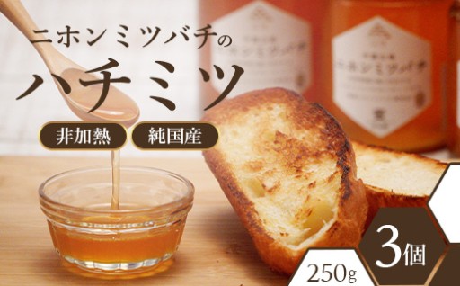 二ホンミツバチのハチミツ 250g×3個