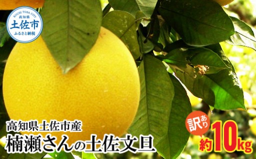【先行予約】時期で味が変わる！訳あり土佐文旦