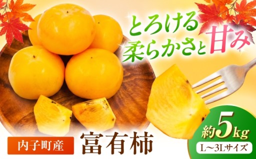 本日受付終了！内子のとろける富有柿5kg