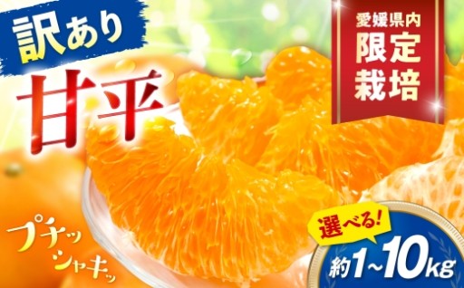 サクッとした食感と濃厚な甘み！
