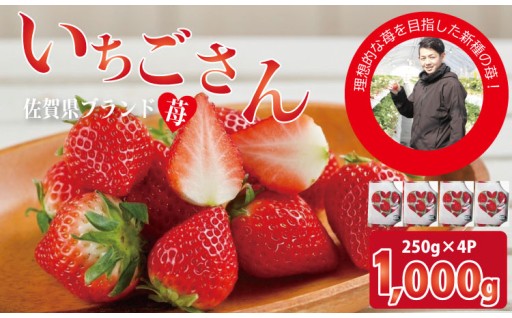 【先行予約】佐賀ブランド苺 いちごさん