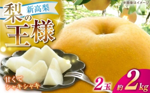 ＼もうすぐ発送開始／特大！梨の王様「新高梨」
