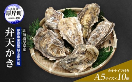 【2月から3月配送】北海道 厚岸産 殻かき 新ブランド弁天かき A5サイズ 特大サイズ 10個 牡蠣 