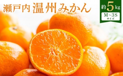 【先行予約】瀬戸内温州みかん　小粒サイズ約5kg