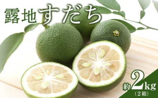 露地すだち 約2kg（1箱約1kg×2箱）