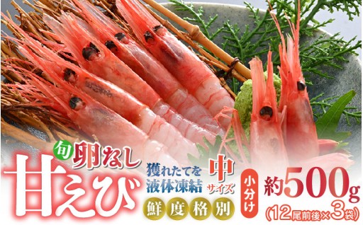 【鮮度格別】獲れたてを液体凍結🦐小分けで便利👍