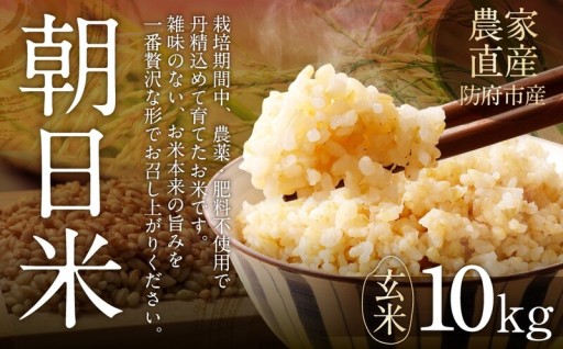 【農薬・肥料不使用】コシヒカリのルーツ「朝日米」！農薬・肥料不使用で育てた極上の玄米！