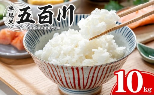 【令和8年産 新米】五百川 10kg