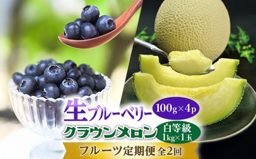 クラウンメロン1玉と生ブルーベリー4パック