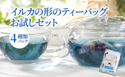 かわいいイルカが泳ぐ💙 天草こだわりティーバッグ☕🐬