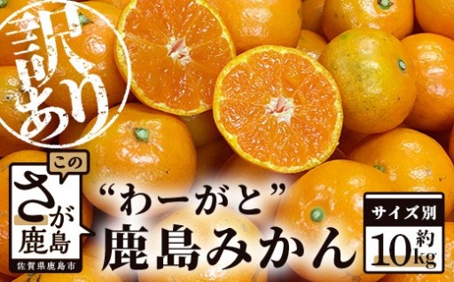 【2026年11月上旬～発送】 ”わーがと” 鹿島産がばい訳アリみかん 約10kg サイズ別【着日指定不可】
