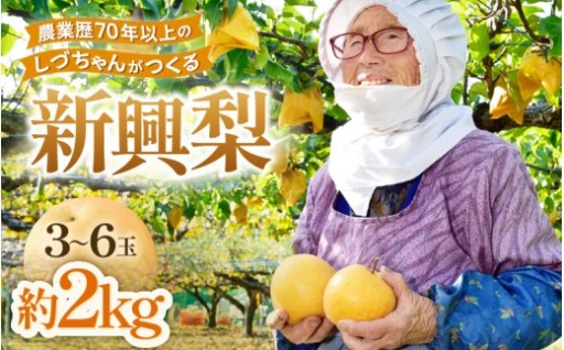 【先行予約】農業歴７０年以上のしづちゃんが作る越前梨✨