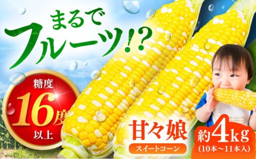【先行予約】あま～い、とうもろこし。甘々娘。