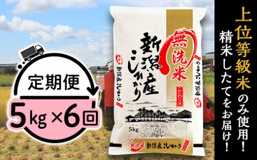 【令和8年産 新米予約🍚】新潟県産コシヒカリ5kg　選べる定期便♪（無洗米）