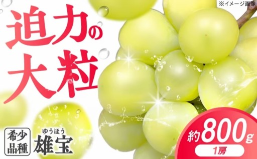 超大粒！西田ぶどう園が送る希少品種「雄宝」