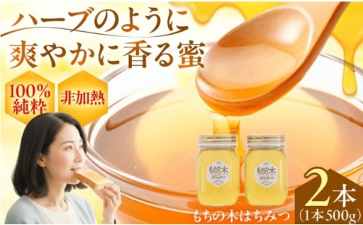 稲沢産！もちの木純粋はちみつ500g×2本