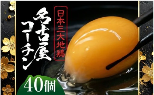 当日産み立て！名古屋コーチン卵40個化粧箱