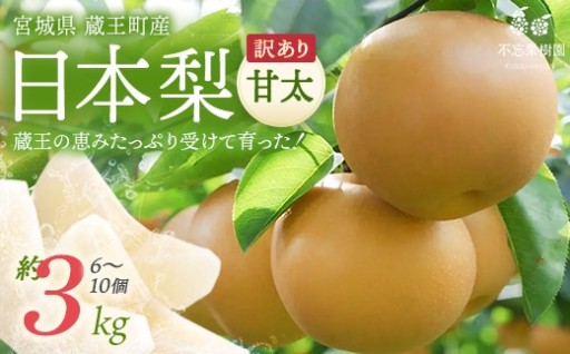 【先行予約】訳あり日本梨（甘太）3kg