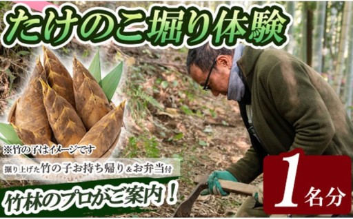 ＜先行予約受付中！2027年3月中旬～4月中旬まで体験分＞竹の子堀り体験