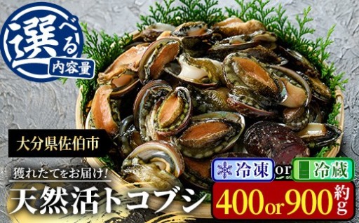 ＜内容量・配送方法(冷凍・冷蔵)が選べる＞ 天然 トコブシ (約400g・約900g) 
