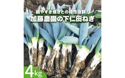 【新着返礼品】[先行予約] 産地直送！加藤農園の下仁田ねぎ 約4kg 　今年度の受付を開始しました