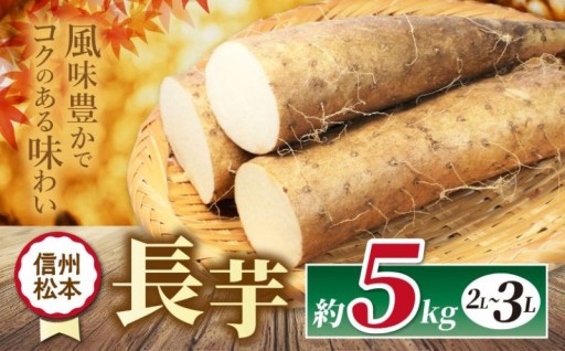 【先行受付：11月発送】 長芋 2L～3L 約5kg