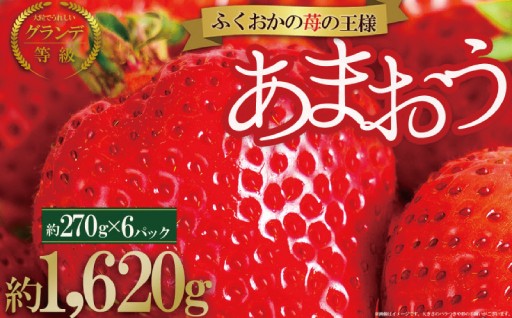 【先行予約／2027年出荷】【福岡県産あまおう】訳あり グランデ　約270ｇ前後×6Ｐ