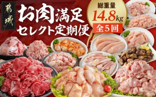 【☆セレクト定期便☆】お肉満足定期便(5ヶ月)≪2027年お届け≫
