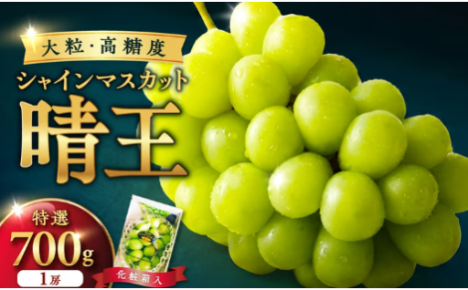 岡山県産シャインマスカット「晴王」特選　大房　化粧箱入　1房（約700g）